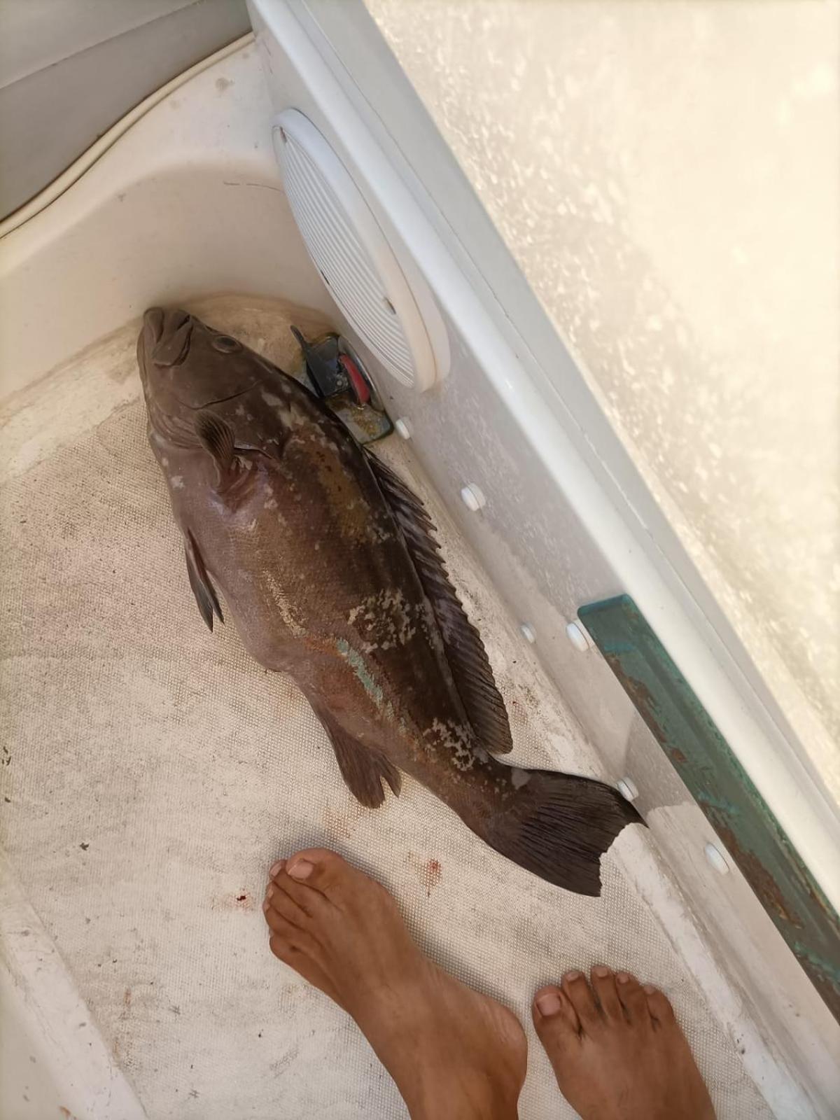 Levante Terrasini Eksteriør billede